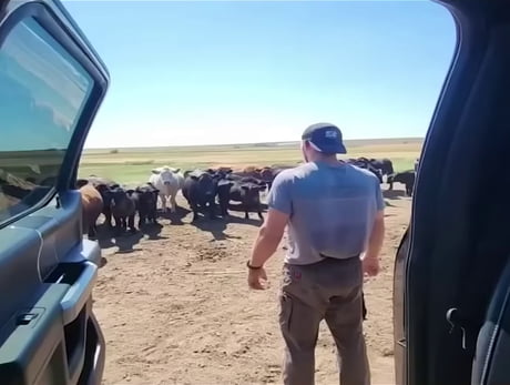 Always address your employees directly