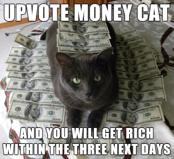 Do the cat