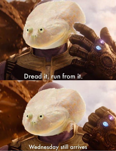 Best Funny infinity Memes - 9GAG