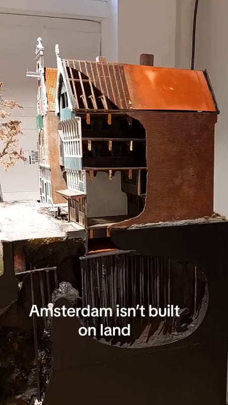 Amsterdam's hidden foundation is wild