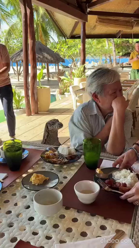 After we are gone, they will rule the earth once again.