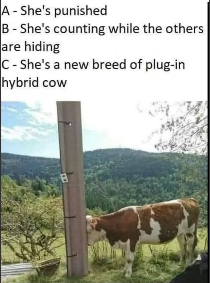 She's tired of dealing with her cow - workers