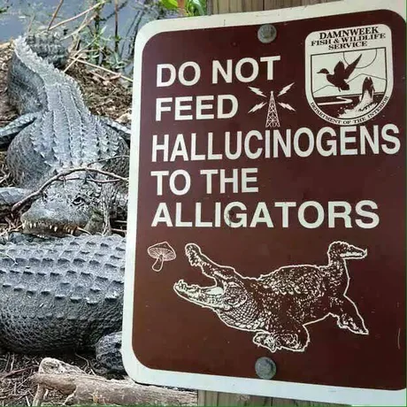 On the one hand - good advice. On the other hand - WTF????