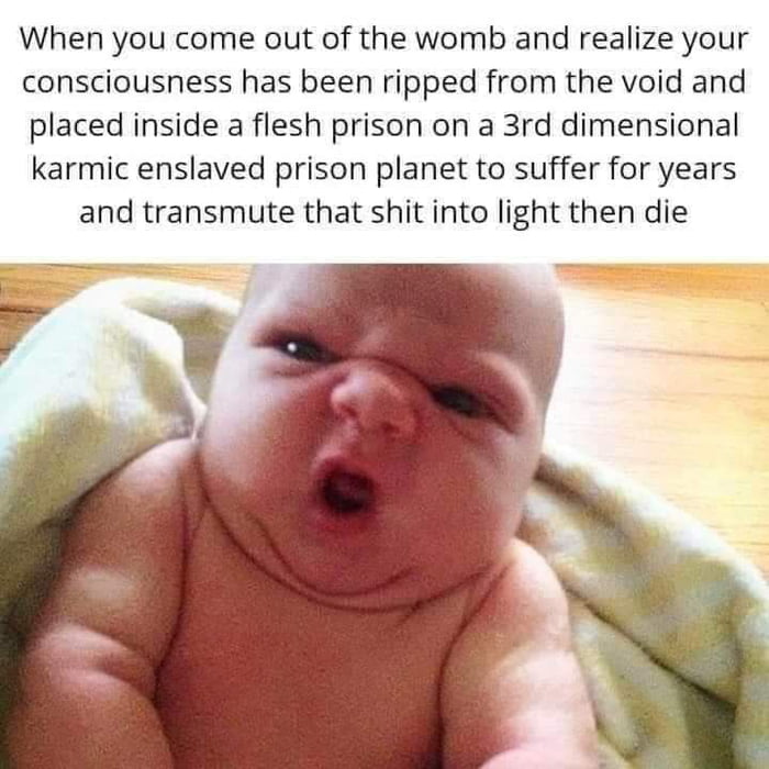 Happy happy, joy joy