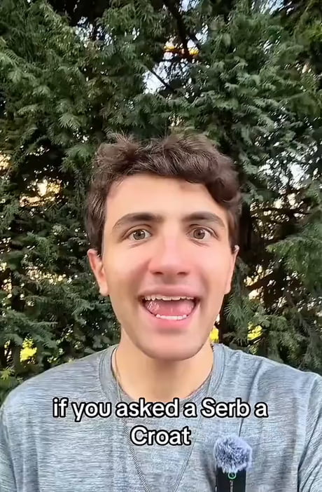 Can The Nordics understand each other?