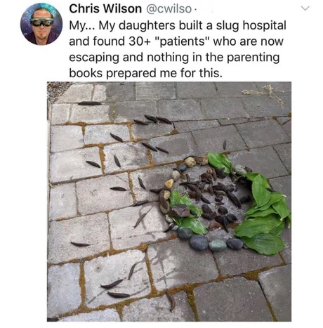 Believe you need to comfort her