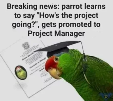 Needs to learn PPT and can be prototed to Senior PM