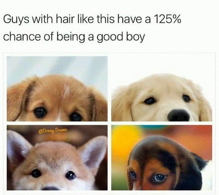 All good boys, 125 percent confirmed