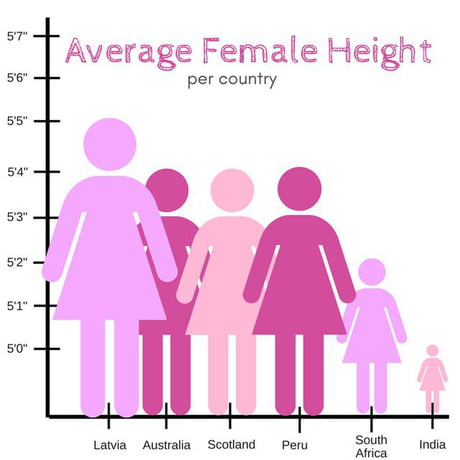 Chart height comparison Height Comparison