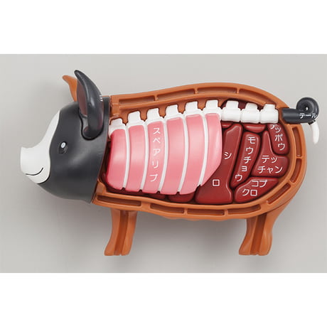 3d tuna dissection puzzle