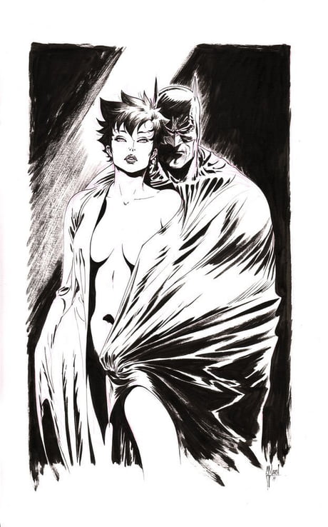Catwoman draped in Batman's cape by Guillem March - 9GAG