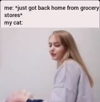 Just some cat behaviour