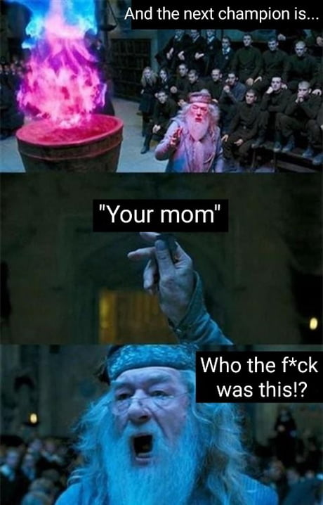 dumbledore goblet of fire meme