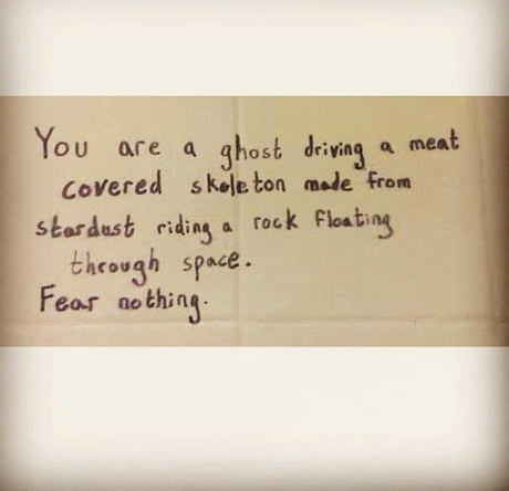 Fear nothing