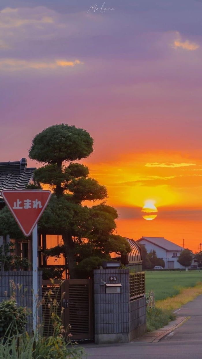 countryside-in-japan-9gag