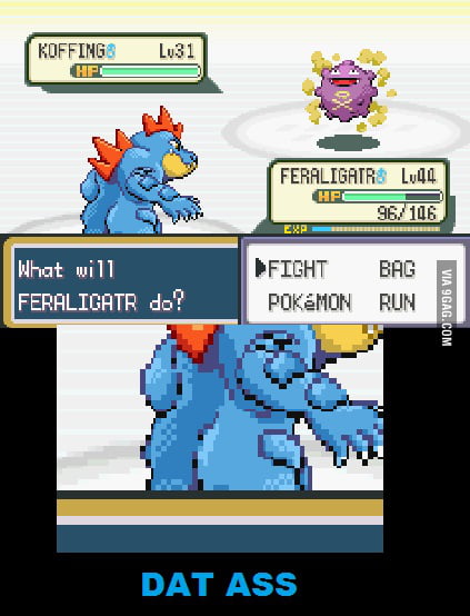 Playing Pokemon firered and got Eevee. Who should I evolve it to? - 9GAG