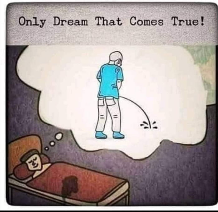 Some dreams come true 9gag