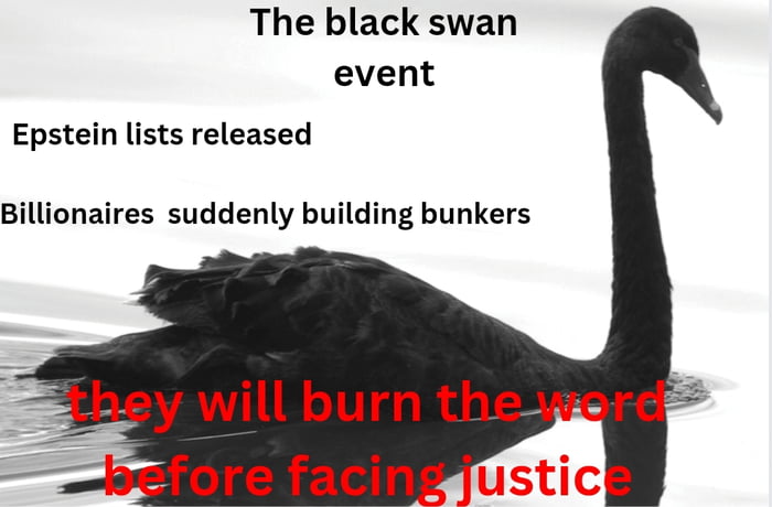 Black Swan 2024 May Not Be So Unlikely 9GAG   ADYKpbO 700b 