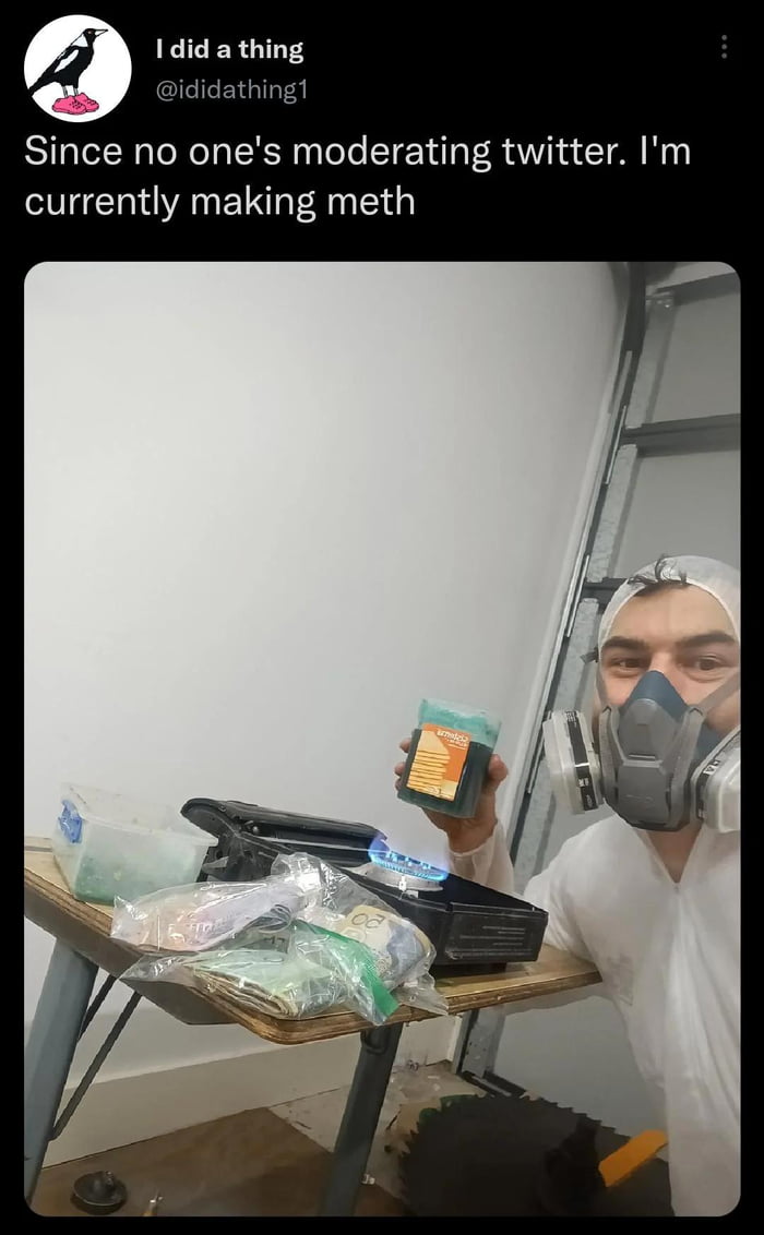 Madlad is unleashed