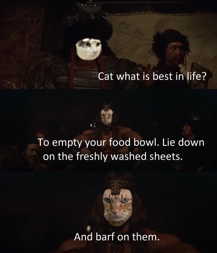 What Is Best In Life Meaning