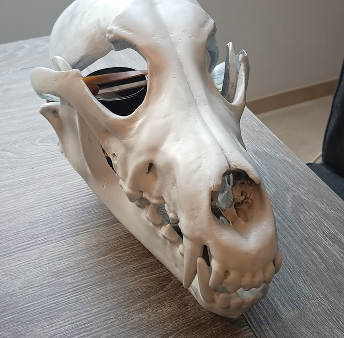 3d printed a skull mask - 9GAG