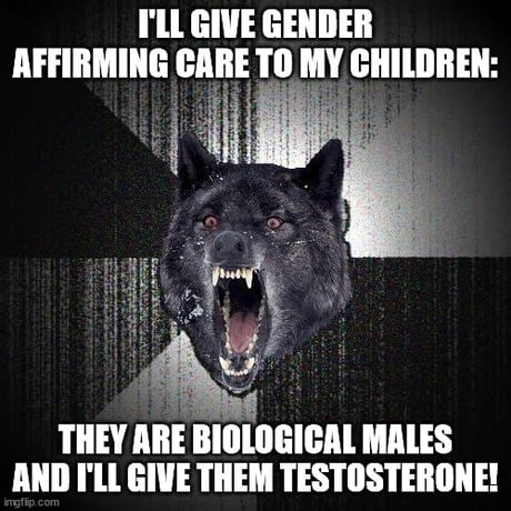 Best Funny testosterone Memes 9GAG