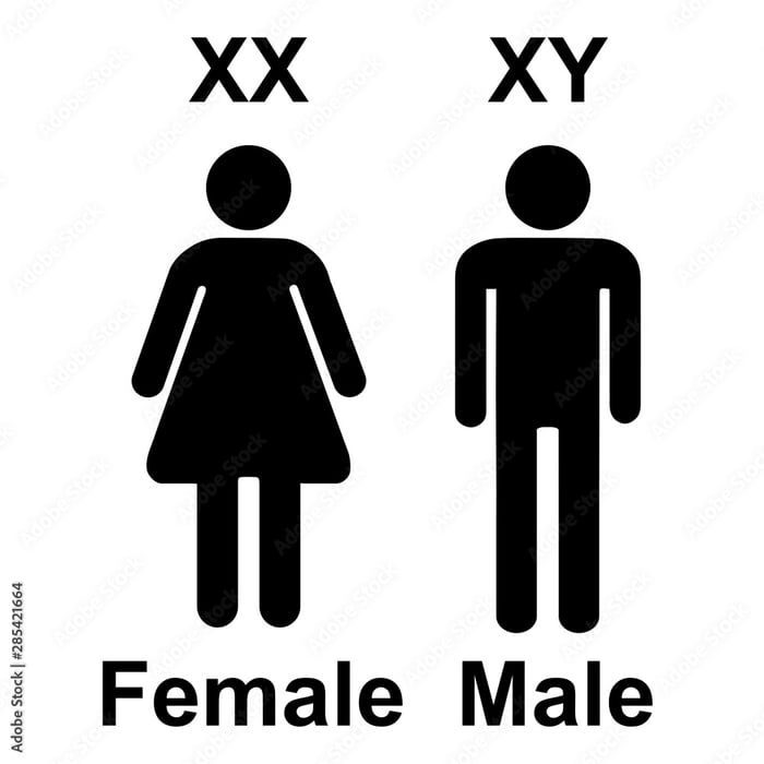 01010100 01101000 01100101 01110010 01100101 00100000 01100001 01110010