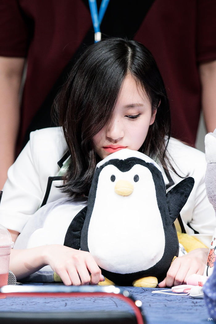 Photo : Mina on her cute penguin plushie!