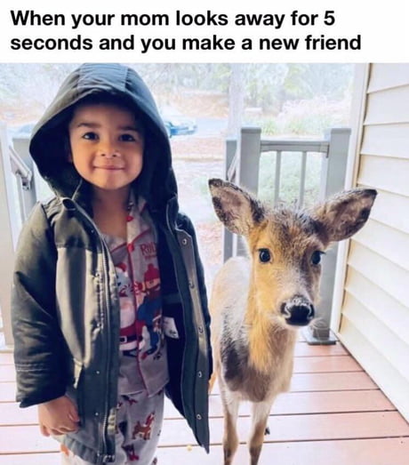 Its So Cute