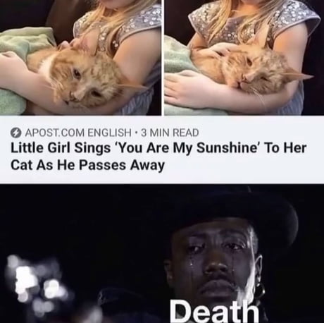 Damn I Really Wanna Joke That He Died Because Of Her Awful Singing But I Don T Know If I Have Strength To Do It 9gag