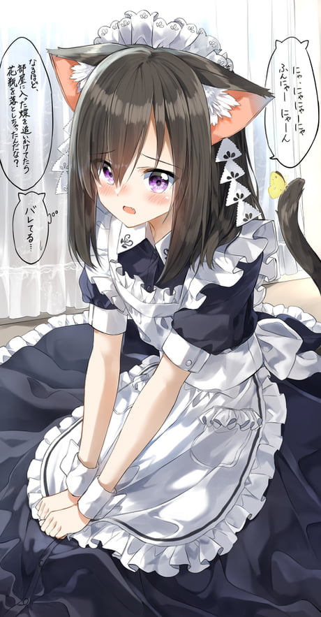 Cat Maid anime maid neko waitress HD wallpaper  Peakpx