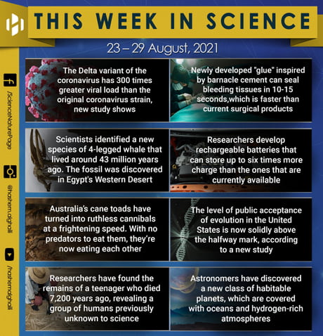 Science News  The latest news from all areas of science