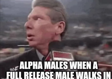 Alpha Wife Beta Husband Captions