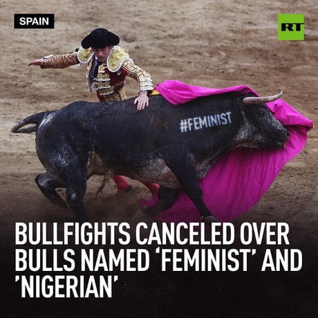 Bullfighting Memes