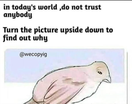Trust Problems Meme
