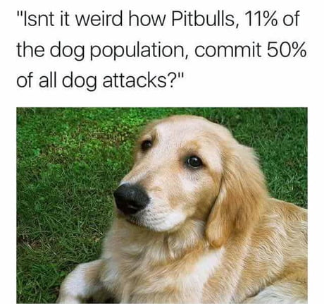 Origins of ._.XD Pitbull meme?, General Discussion