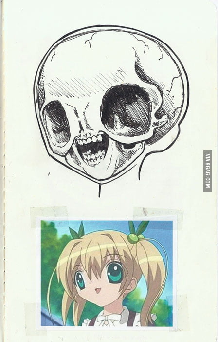 Anatomy of an anime girl - Anatomy - Sticker | TeePublic
