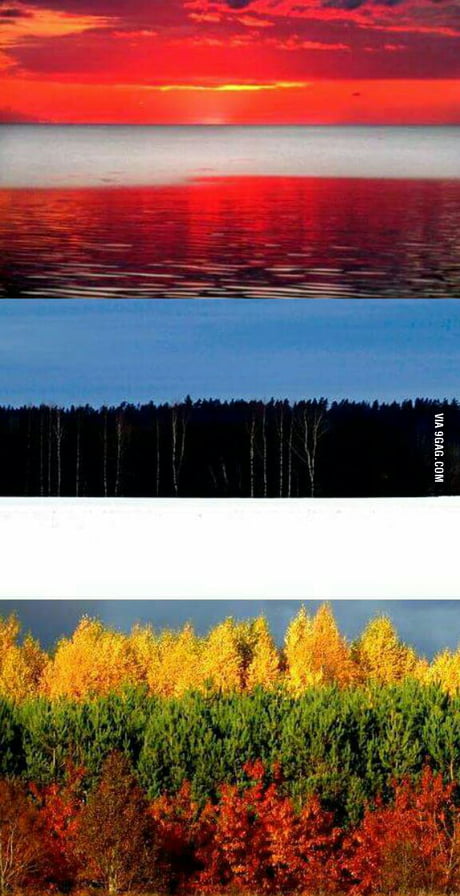 Finally All The Baltic States Flags Are Found In Nature Simply Amazing 9gag