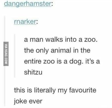Ass Dog Zoo
