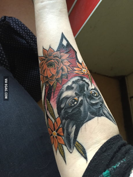 Taking crazy cat lady to a whole new level by getting a tattoo of my cat! -  9GAG