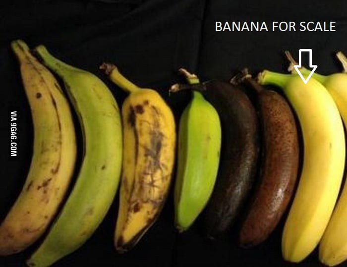 банан. Some bananas. большие бананы. Some bananas. спагетти car banana.