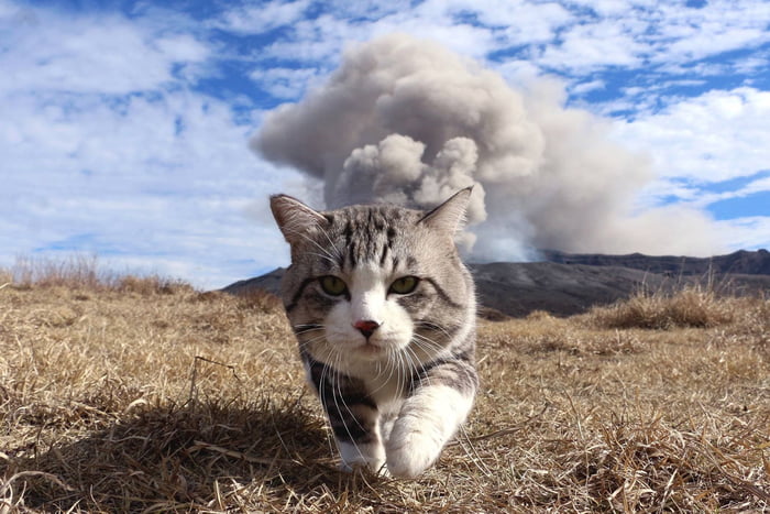 Cool guys don't look at explosions
