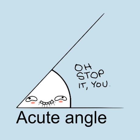 What do you call a crushed angle? A rektangle - 9GAG