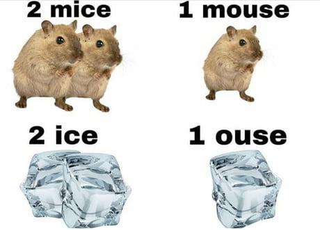 one mouse two mouses