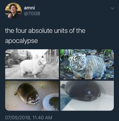 4 absolute units of the apocalypse