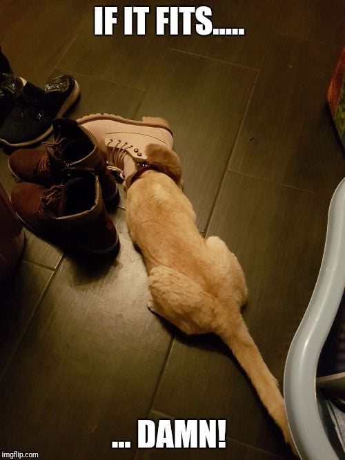 If it fits...