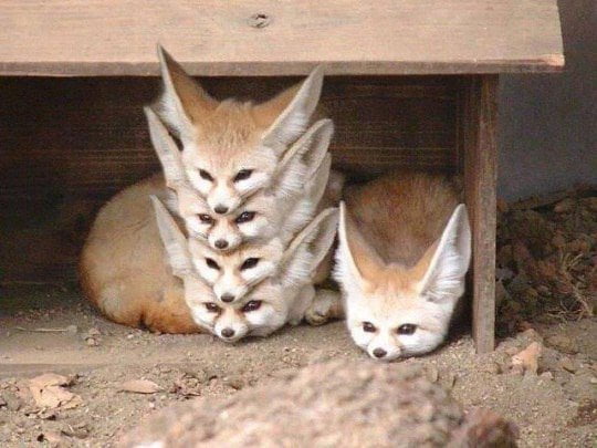 CTRL+T, CTRL+T, CTRL+T, CTRL+N