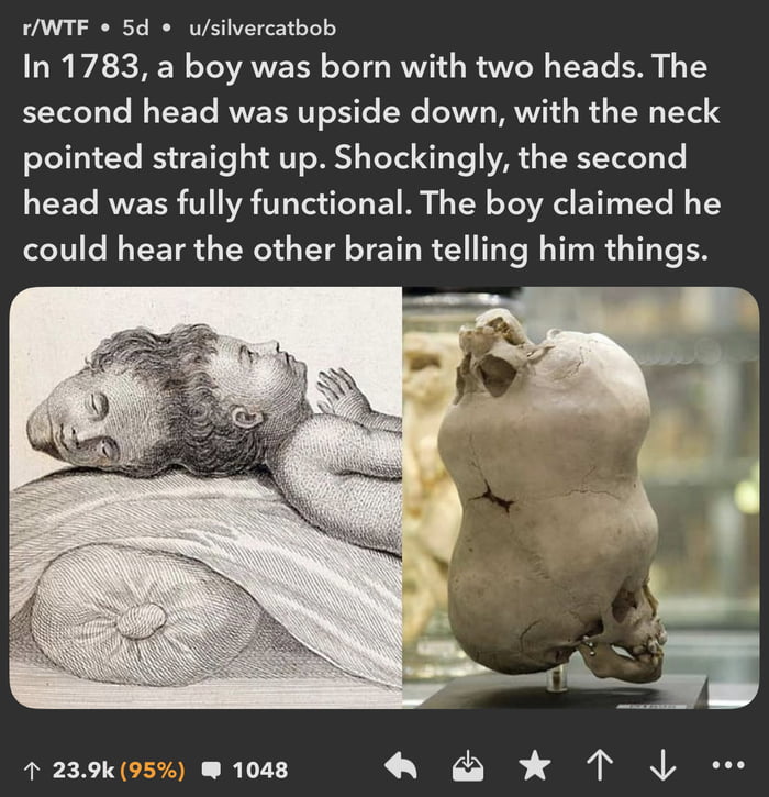 Oh. Tf.