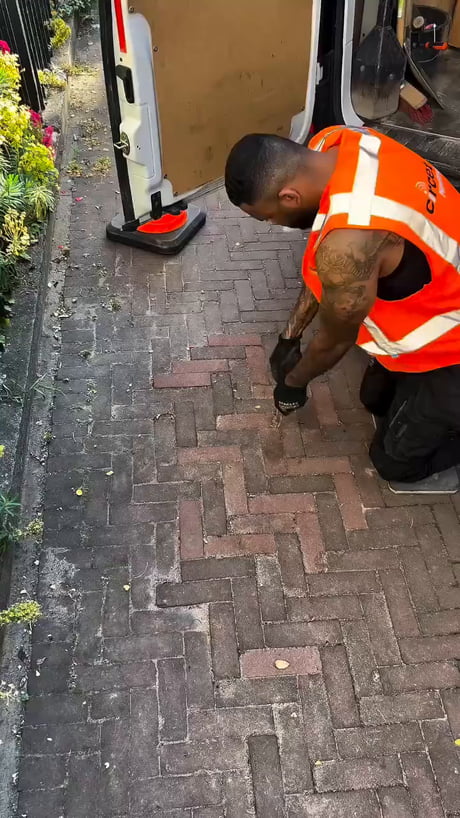 A perfect job