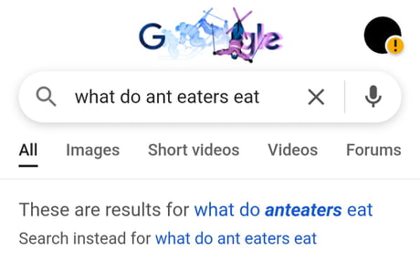 Best Funny anteater Memes - 9GAG